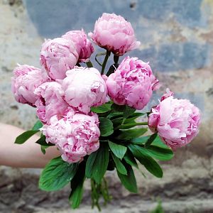 9 пионов